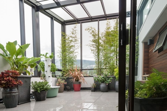 Cuadro de aluminio resistente al agua Casa de vidrio Salones de sol China Máquina de alta calidad y libre de pie
