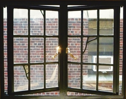 Ventanas de acero duraderas para un rendimiento duradero