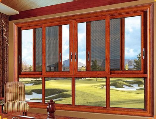 El doble esmaltó la tormenta de aluminio Windows para la sala de estar