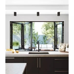 El vidrio exterior de la aleación de aluminio de la fachada que doblaba Windows plegable y las puertas expusieron el marco