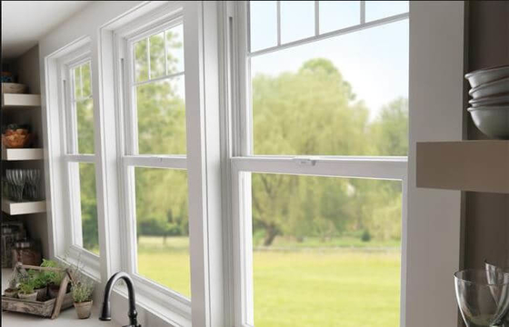 Doble de desplazamiento vertical Hung Windows Clear Tempered Glass de UPVC
